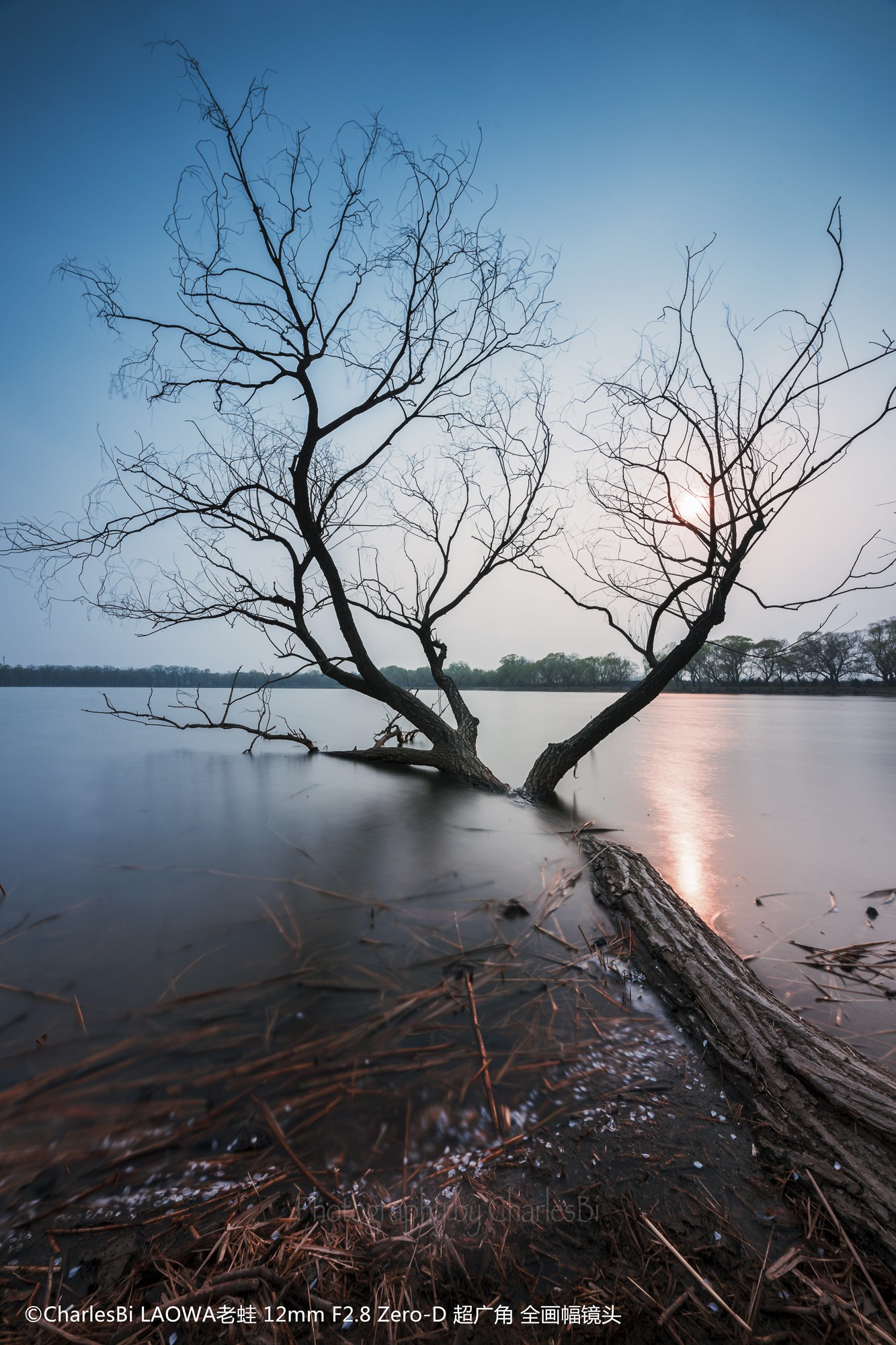 Obiektyw Venus Optics Laowa D-Dreamer 12 mm f/2,8 Zero-D do Canon EF - Zdjęcie 7 Obiektyw Venus Optics Laowa D-Dreamer 12 mm f/2,8 Zero-D do Canon EF - Zdjęcie 7