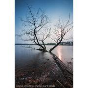 Obiektyw Venus Optics Laowa D-Dreamer 12 mm f/2,8 Zero-D do Sony E - Zdjęcie 7