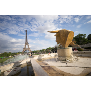 Obiektyw Voigtlander Super Wide Heliar III 15 mm f/4,5 do Sony E - Zdjęcie 4