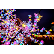 Obiektyw Venus Optics Laowa C&D-Dreamer 9 mm f/2,8 Zero-D do Fujifilm X - Zdjęcie 6