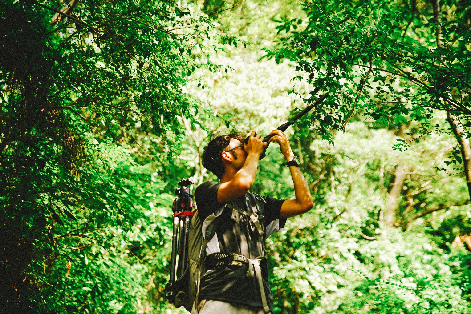 Obiektyw Venus Optics Laowa Probe 24 mm f/14 Macro 2:1 do Canon EF - Zdjęcie 1