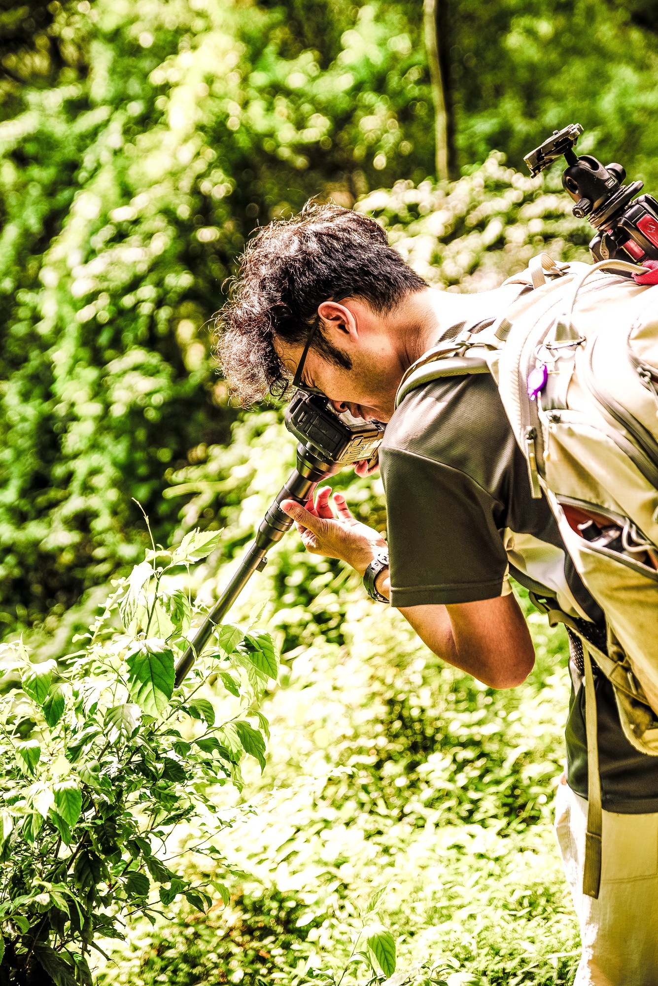 Obiektyw Venus Optics Laowa Probe 24 mm f/14 Macro 2:1 do Canon EF - Zdjęcie 3