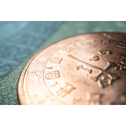 Obiektyw Venus Optics Laowa Probe 24 mm f/14 Macro 2:1 do Canon EF - Zdjęcie 8