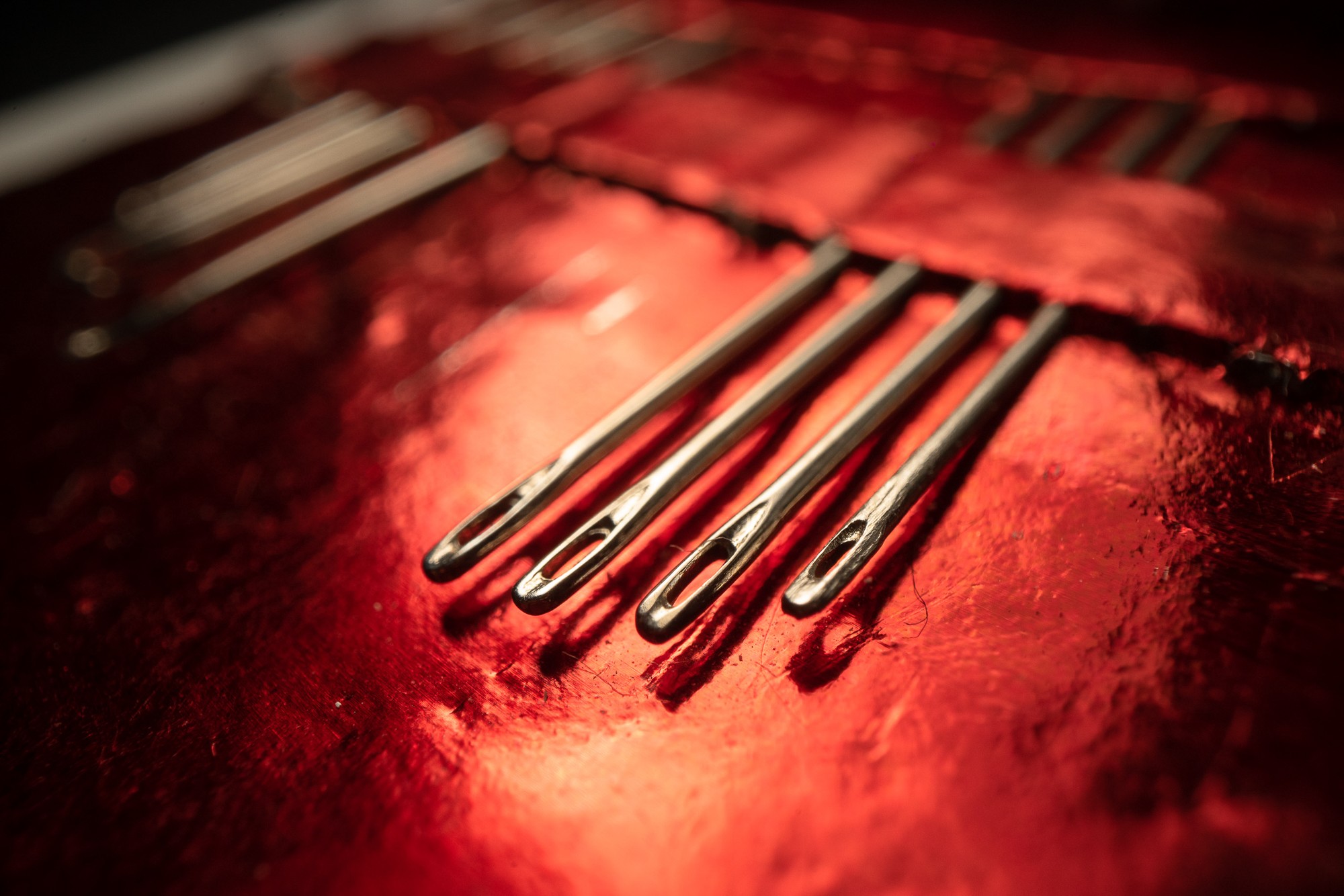 Obiektyw Venus Optics Laowa Probe 24 mm f/14 Macro 2:1 do Canon EF - Zdjęcie 14