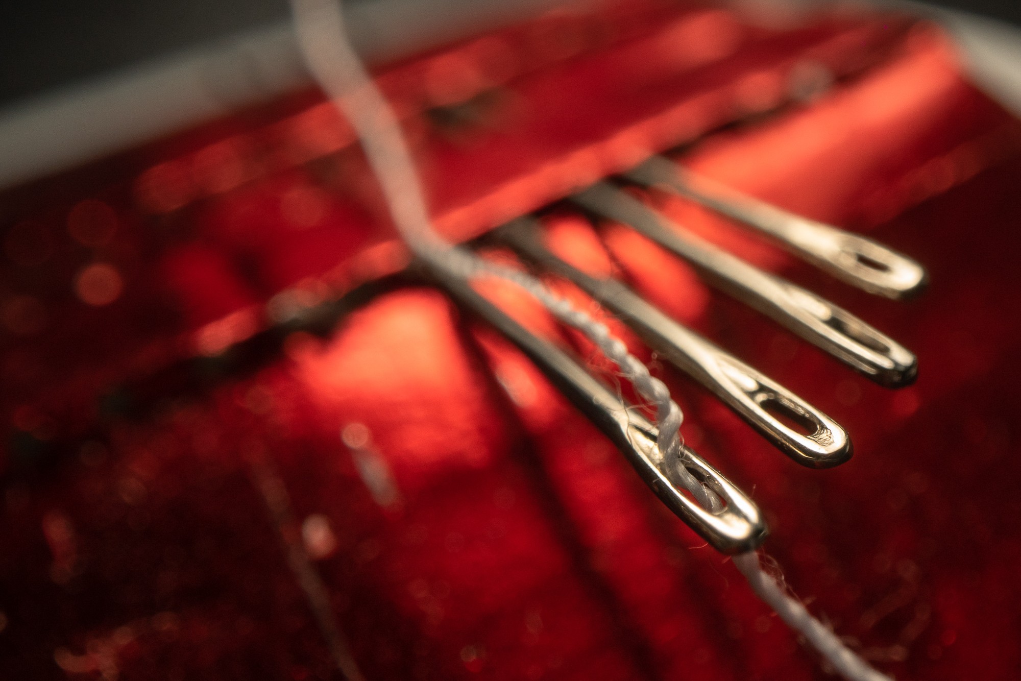 Obiektyw Venus Optics Laowa Probe 24 mm f/14 Macro 2:1 do Canon EF - Zdjęcie 15