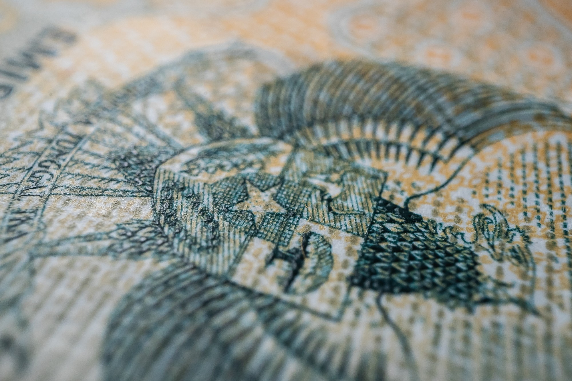 Obiektyw Venus Optics Laowa Probe 24 mm f/14 Macro 2:1 do Nikon F - Zdjęcie 5