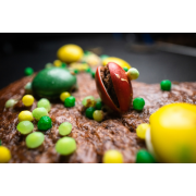 Obiektyw Venus Optics Laowa Probe 24 mm f/14 Macro 2:1 do Nikon F - Zdjęcie 10