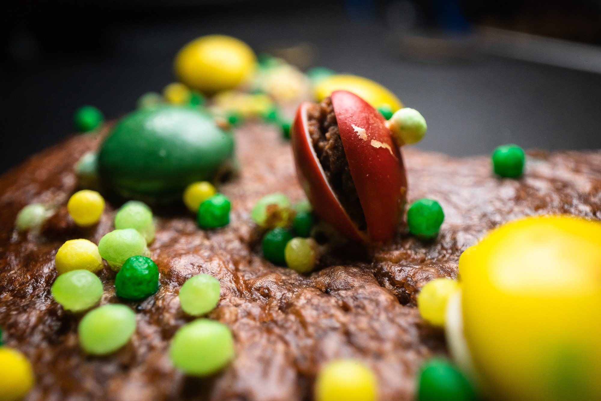 Obiektyw Venus Optics Laowa Probe 24 mm f/14 Macro 2:1 do Sony E - Zdjęcie 10