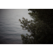 Obiektyw Voigtlander Nokton 50 mm f/1,2 do Leica M - Zdjęcie 4