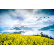 Obiektyw Venus Optics Laowa 15 mm f/4 Macro do Sony E - Zdjęcie 5