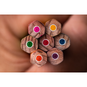 Obiektyw Venus Optics Laowa CA-Dreamer 100 mm f/2,8 Macro 2:1 do Nikon F - Zdjęcie 23