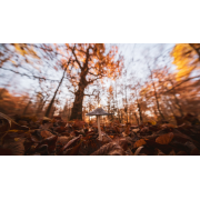 Obiektyw Venus Optics Laowa C-Dreamer 10-18 mm f/4,5-5,6 do Nikon Z - Zdjęcie 6