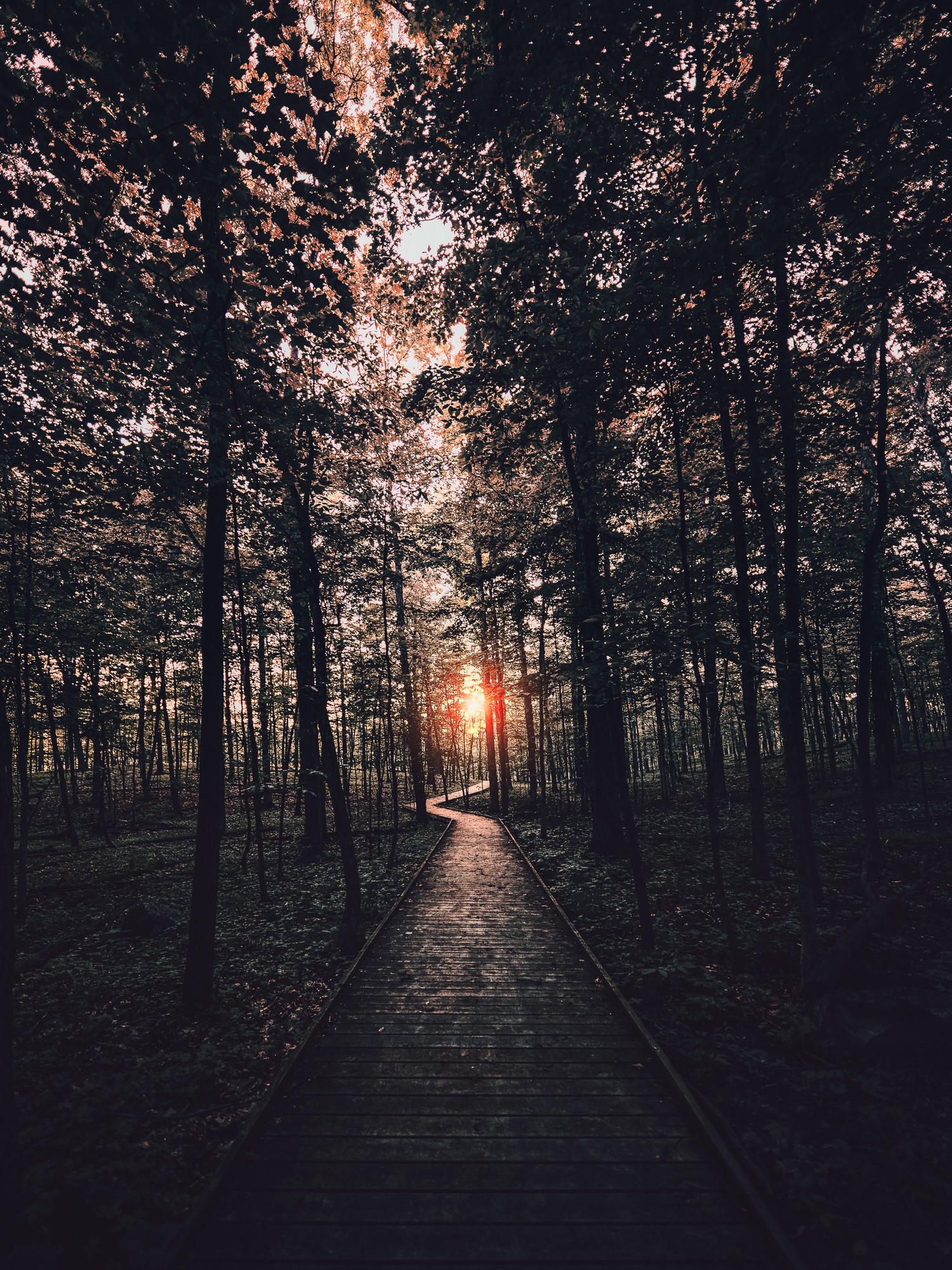 Obiektyw Venus Optics Laowa D-Dreamer 17 mm f/4,0 Zero-D do Fujifilm G - Zdjęcie -3