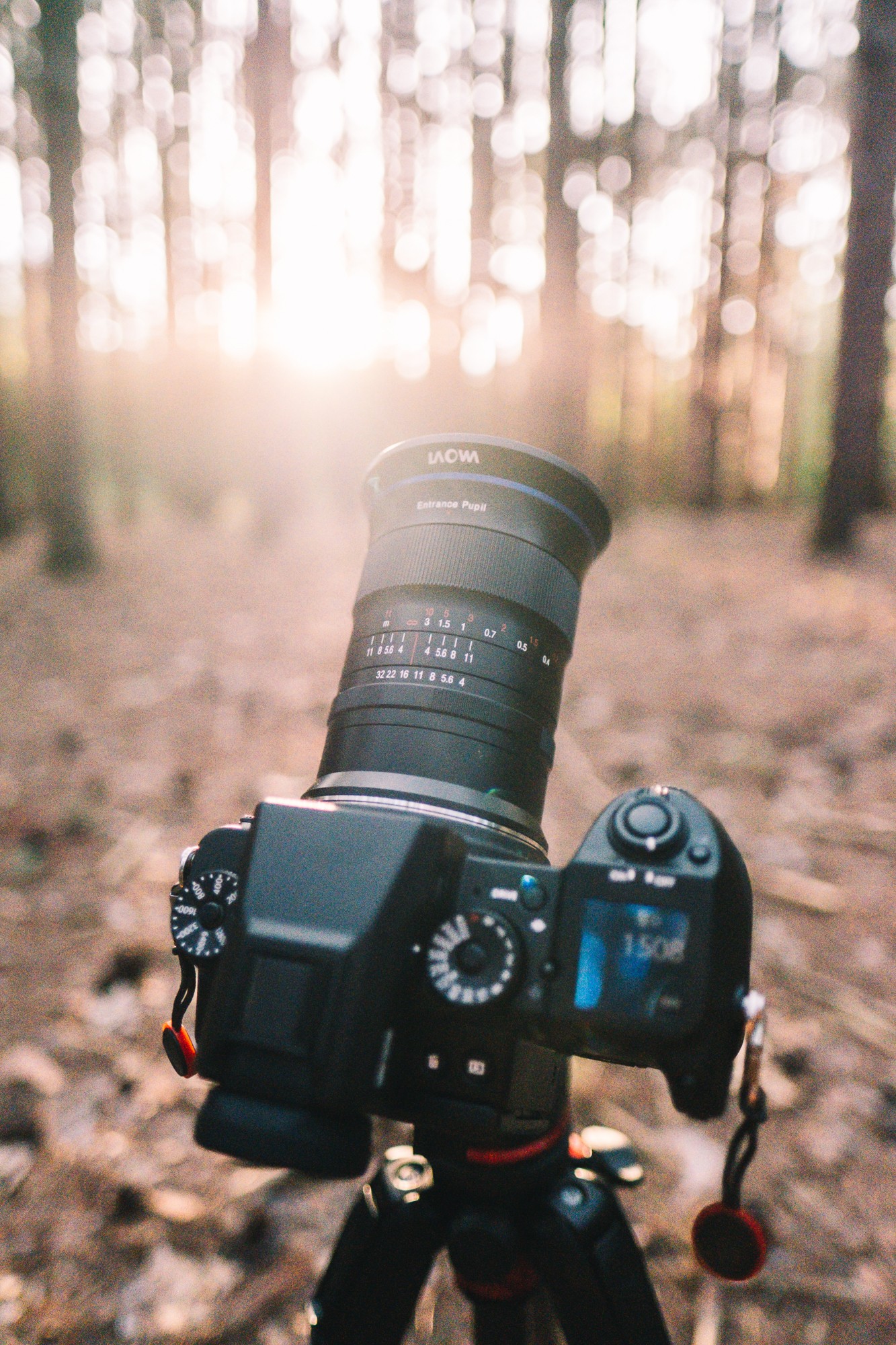 Obiektyw Venus Optics Laowa D-Dreamer 17 mm f/4,0 Zero-D do Fujifilm G - Zdjęcie 28