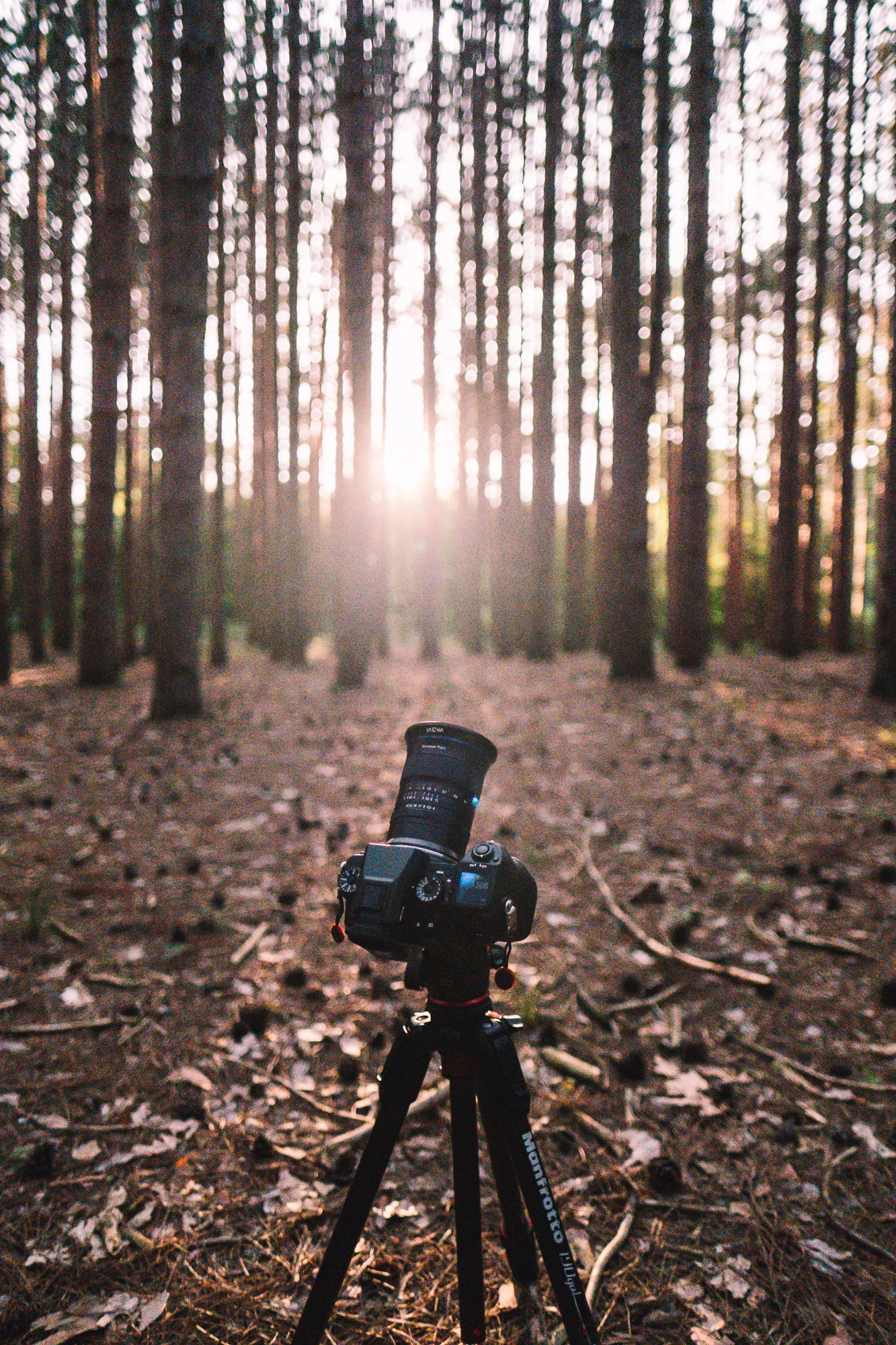 Obiektyw Venus Optics Laowa D-Dreamer 17 mm f/4,0 Zero-D do Fujifilm G - Zdjęcie 29