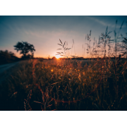 Obiektyw Venus Optics Laowa D-Dreamer 17 mm f/4,0 Zero-D do Fujifilm G - Zdjęcie 1