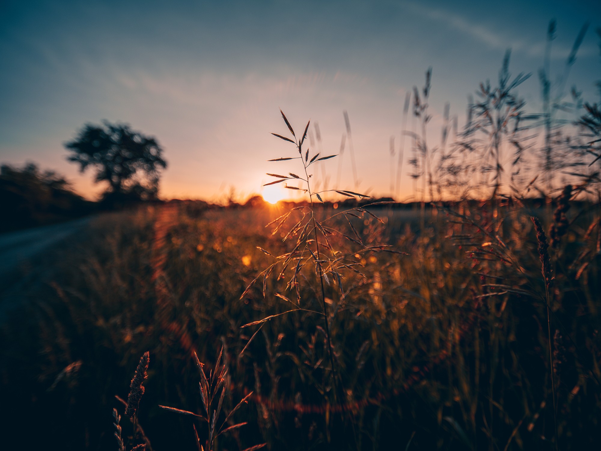 Obiektyw Venus Optics Laowa D-Dreamer 17 mm f/4,0 Zero-D do Fujifilm G - Zdjęcie 1