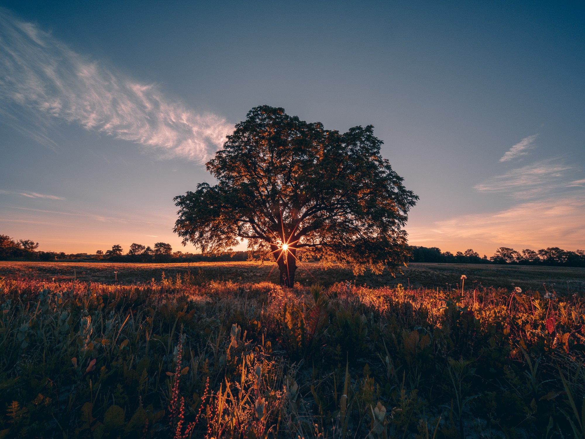 Obiektyw Venus Optics Laowa D-Dreamer 17 mm f/4,0 Zero-D do Fujifilm G - Zdjęcie 3