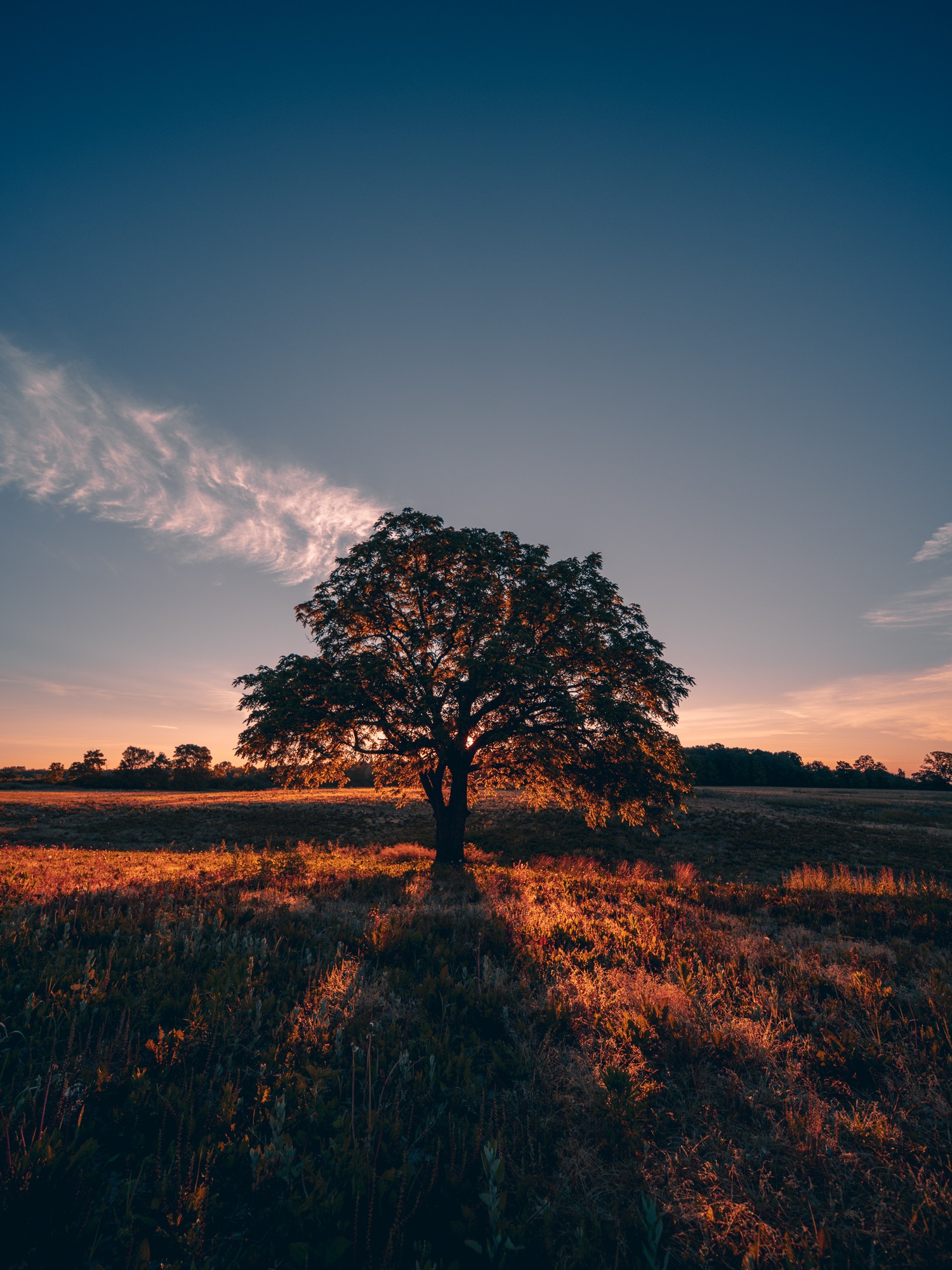 Obiektyw Venus Optics Laowa D-Dreamer 17 mm f/4,0 Zero-D do Fujifilm G - Zdjęcie 4