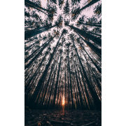 Obiektyw Venus Optics Laowa D-Dreamer 17 mm f/4,0 Zero-D do Fujifilm G - Zdjęcie 7