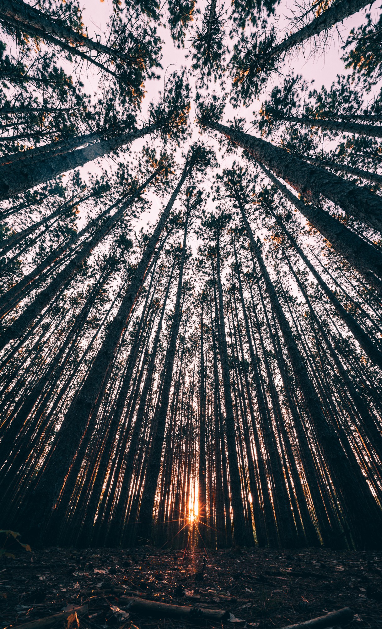 Obiektyw Venus Optics Laowa D-Dreamer 17 mm f/4,0 Zero-D do Fujifilm G - Zdjęcie 7