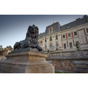 Obiektyw Voigtlander Color Skopar 21 mm f/3,5 do Leica M - Zdjęcie 15