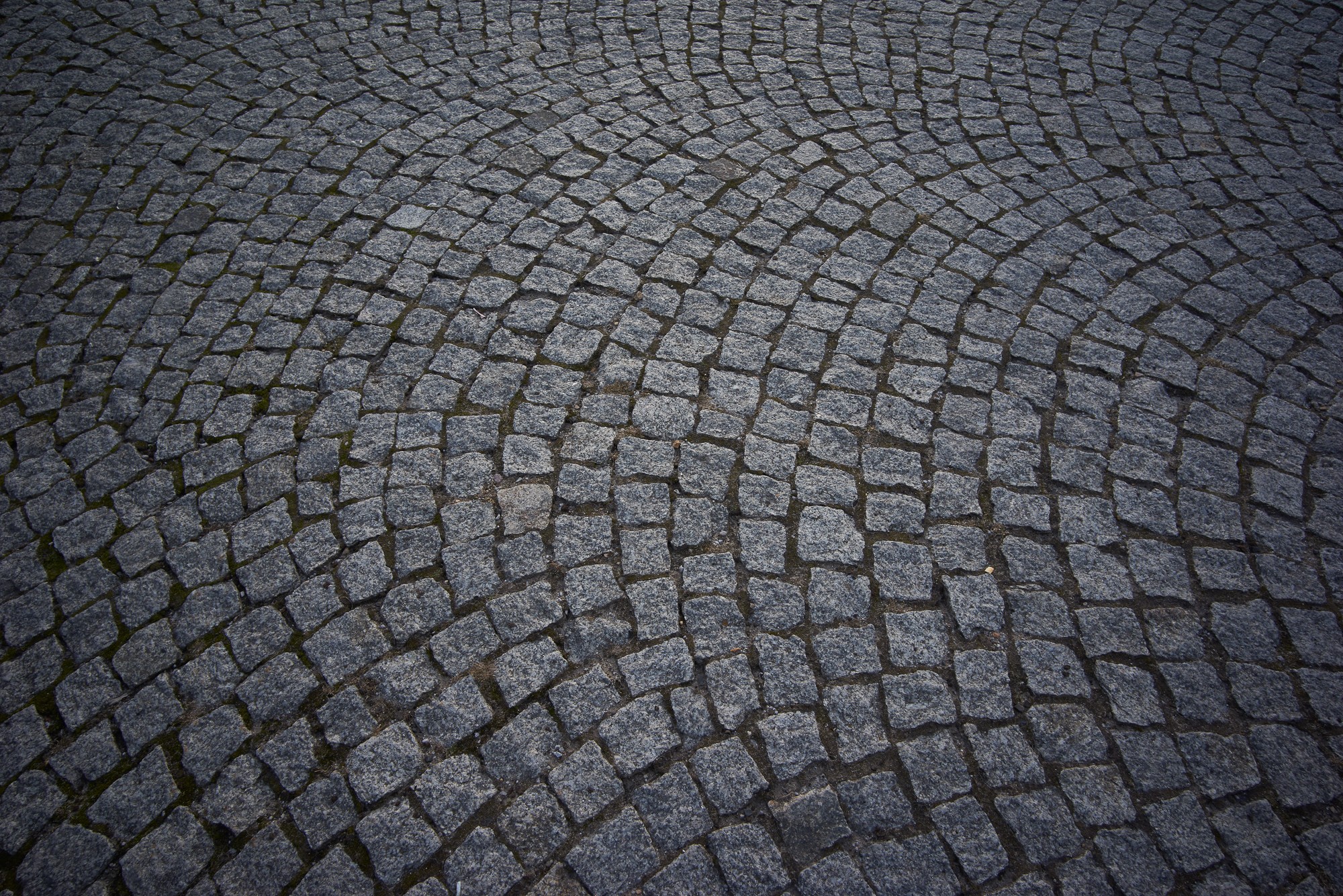 Obiektyw Voigtlander Color Skopar 21 mm f/3,5 do Leica M - Zdjęcie 16