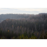 Obiektyw Voigtlander Nokton 75 mm f/1,5 do Leica M - czarny - Zdjęcie 1