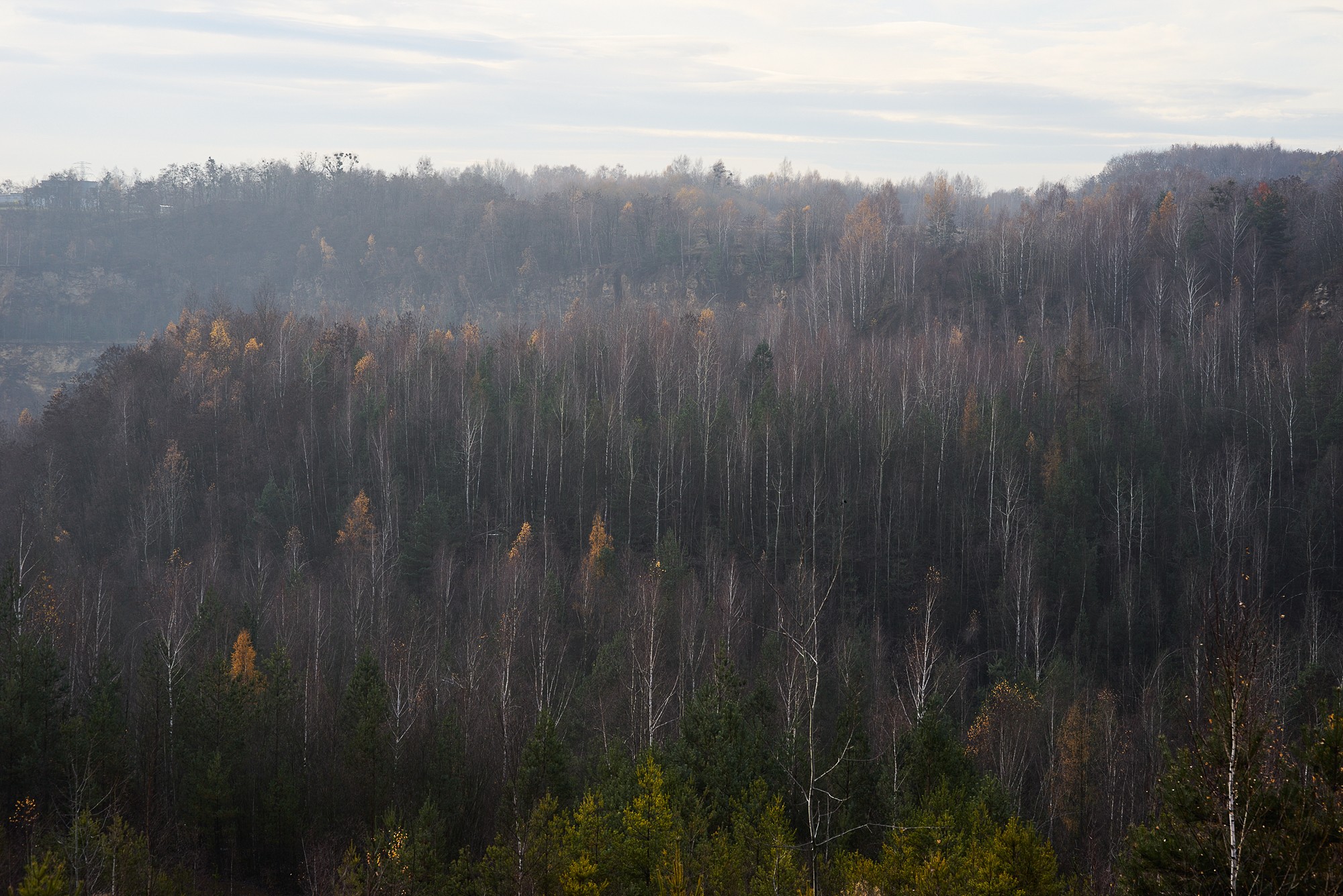 Obiektyw Voigtlander Nokton 75 mm f/1,5 do Leica M - czarny - Zdjęcie 1 Obiektyw Voigtlander Nokton 75 mm f/1,5 do Leica M - czarny - Zdjęcie 1
