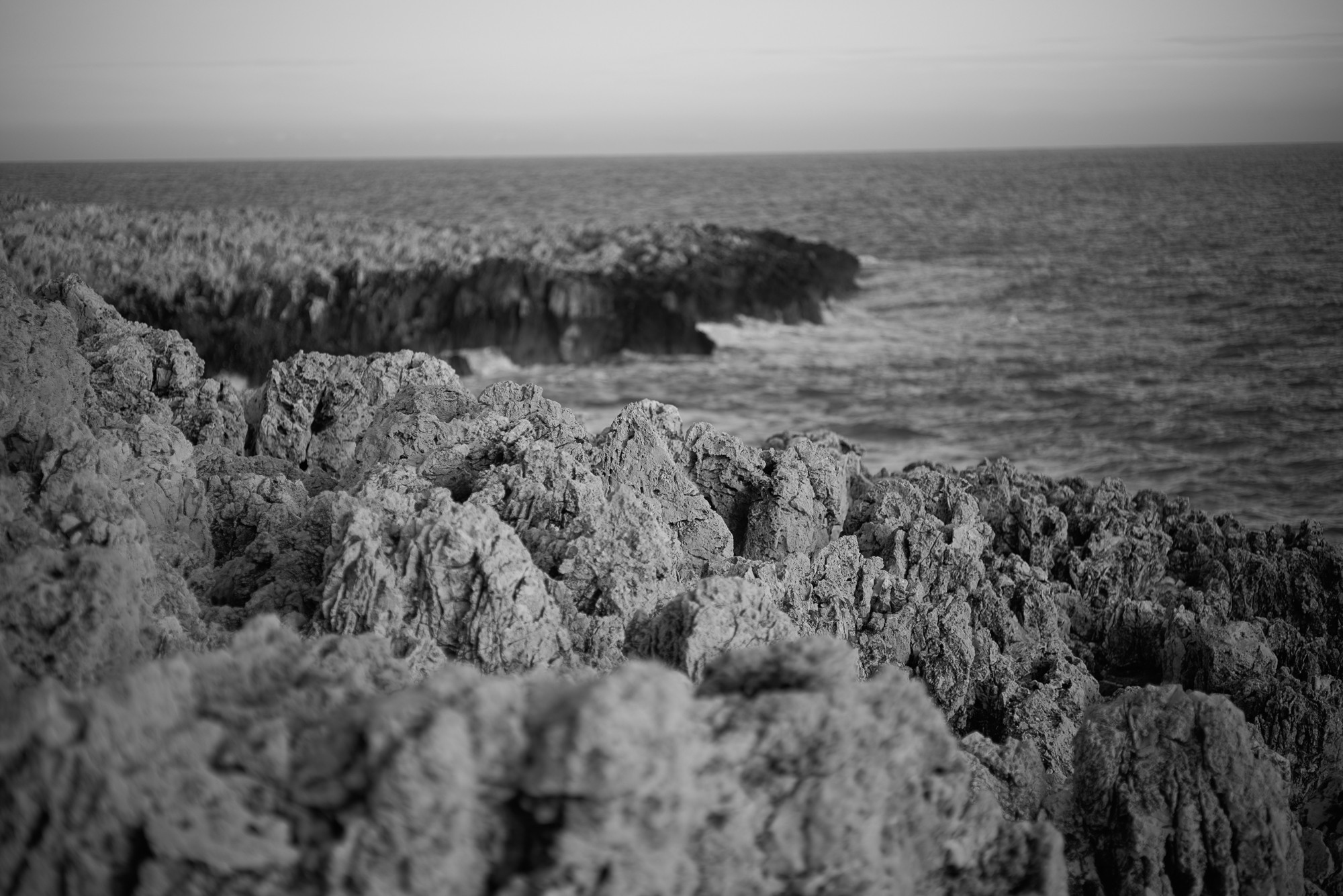 Obiektyw Voigtlander Nokton 75 mm f/1,5 do Leica M - czarny - Zdjęcie 10 Obiektyw Voigtlander Nokton 75 mm f/1,5 do Leica M - czarny - Zdjęcie 10