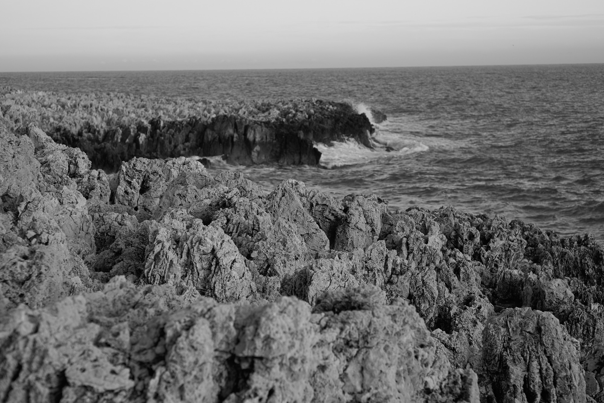 Obiektyw Voigtlander Nokton 75 mm f/1,5 do Leica M - czarny - Zdjęcie 11 Obiektyw Voigtlander Nokton 75 mm f/1,5 do Leica M - czarny - Zdjęcie 11