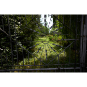 Obiektyw Voigtlander Nokton 21 mm f/1,4 do Leica M - Zdjęcie 2