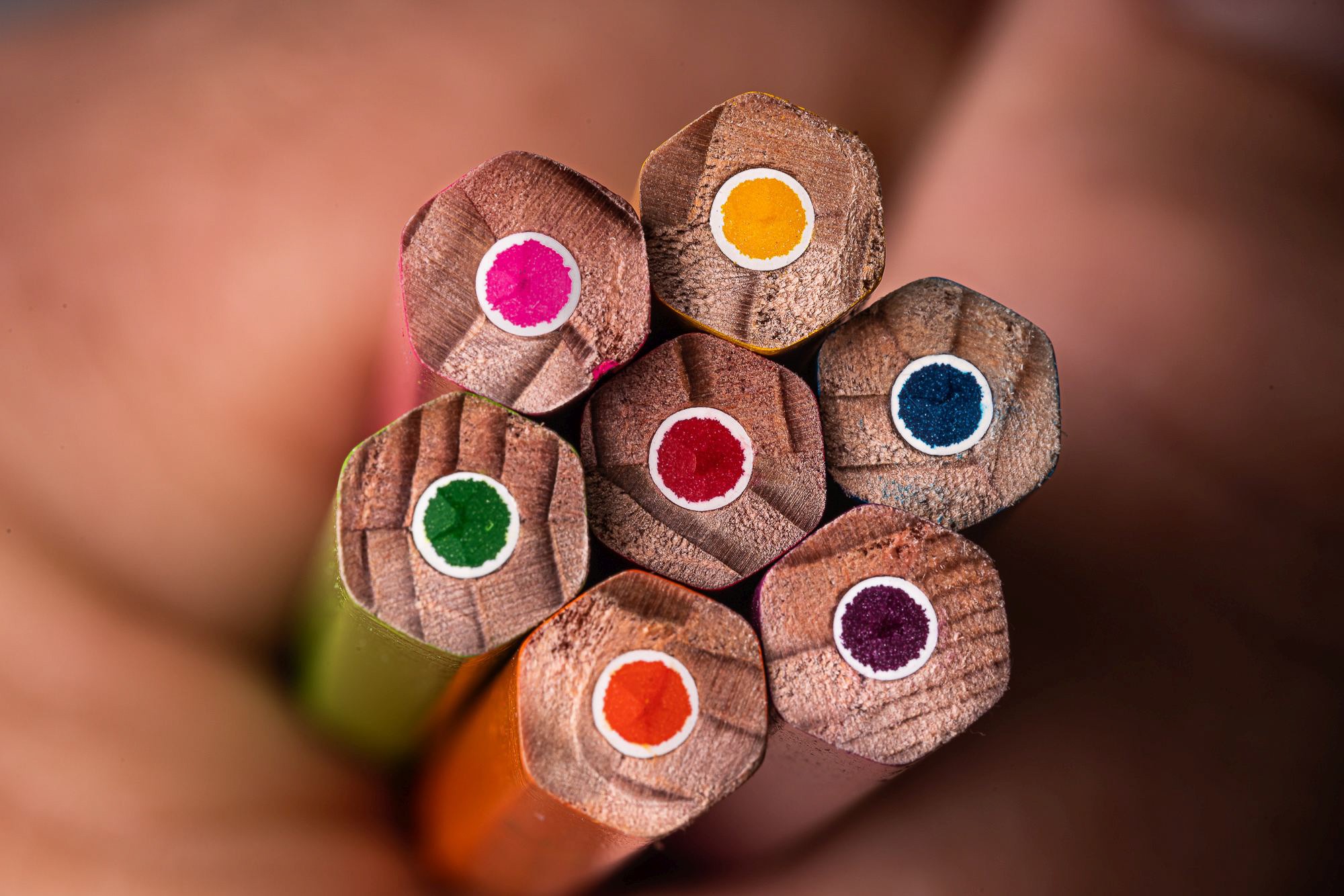 Obiektyw Venus Optics Laowa CA-Dreamer 100 mm f/2,8 Macro 2:1 do Canon RF - Zdjęcie 22