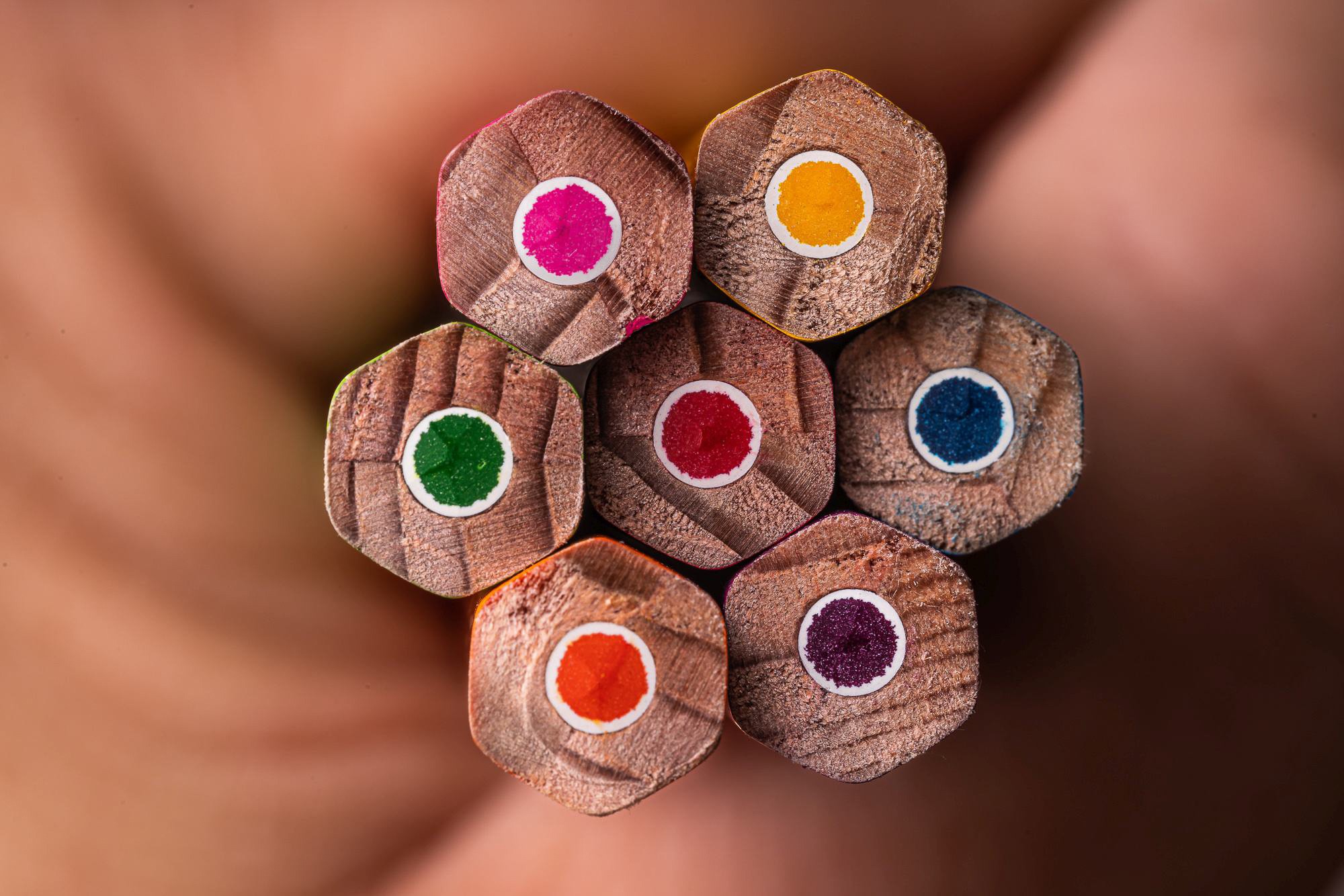 Obiektyw Venus Optics Laowa CA-Dreamer 100 mm f/2,8 Macro 2:1 do Canon RF - Zdjęcie 23