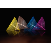 Obiektyw Venus Optics Laowa 60 mm f/2,8 Macro 2:1 do Canon EF - Zdjęcie 11