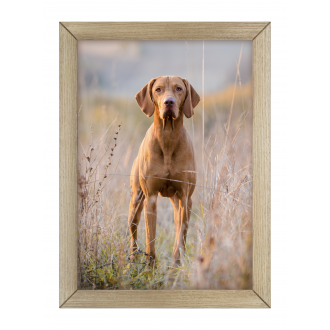 Ramka Woodflow FrameFlip A3...