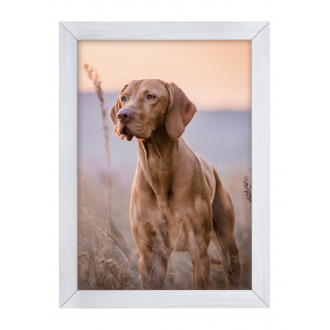 Ramka Woodflow FrameFlip A3...